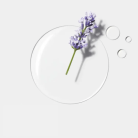 d9ee1ed67e969ba9f8b9f0d6c90a027c.png