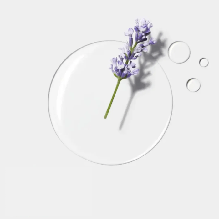d9ee1ed67e969ba9f8b9f0d6c90a027c.png