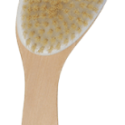 b05c10373a59a67bef4f3772433eab62.png