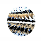d450a725e0aa72f3128dd9f95a617762.png